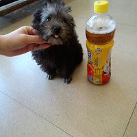 �������ȳ衿�㸺��ò���绨���Ҹ���׬Ǯ����~~~