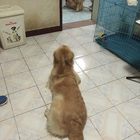 ������ſ�塿7.8�Ǻ�������椵����ա���������Լ