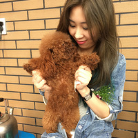 �Һ��ҵĳ����Ը���㿪�����ģʽ