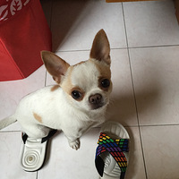 ɹɹ�Ҽҵļ����ޣ�����