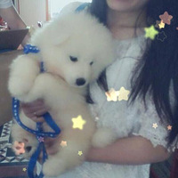 �������ȳ衿��Ħmilk�ɳ���~~˳��������~~������