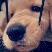 �������ȳ衿���Ȳ�ҪǮ��������������