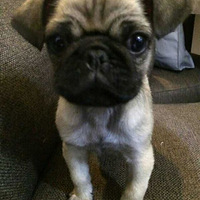 �������ȳ衿�������Ǽ��ˣ�ӵ�е�ʱ��Ҫ�ú���ϧ