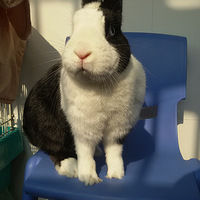 �����г���������ǣ��ܸ�����ʶ�㣡