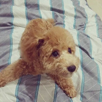 �������ȳ衿�����ҵ�С椽�㣬�㿴���������