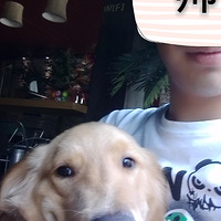 �������ȳ衿������Ƥ���������