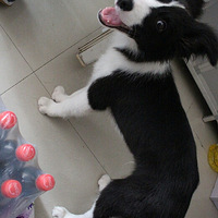 �������ȳ衿����2015.2.28���ġ����ڿ�