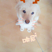 �������ȳ衷+��ͷ����
��ͷ6��16�����Ҽ�