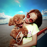 �������ȳ衿�޵����ȶ��������Ǽ����С������