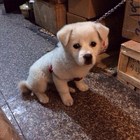 �������ȳ衿��Ͳ��




��һ��ͼ����