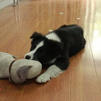 �������ȳ衿2�������ɳ��� ��Щ��칫�ҵĳ��� 