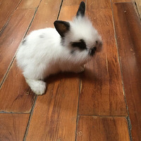 ���г���---ཱ����ɳ���