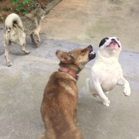 �������ȳ衿ħ�Թ�����ӹ�