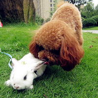 �����ȳ�+������Ϯ