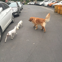 �������ȳ衿�Ҽҵ������󱦱�����������