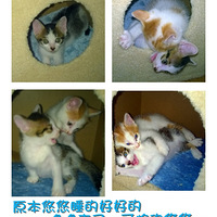 ��7.16�ռǡ�����������&��С��ϴ��