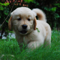 �����ȳ� ��һ��ȥ�ݵظ��ֿ���