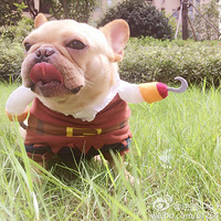 ������������