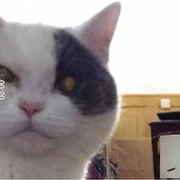 �ߺ߹��٣������޵�