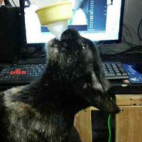 �����ȳ�






С������ȥ�궬�����ڻ�԰