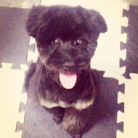 �����ȳ�
ȥ������������Ҽң�ԭ���Ҳ���