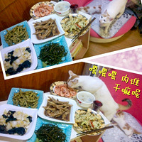 ��7.21�ռǡ���С�Ⱥ����������Ǹ��Կ�����...