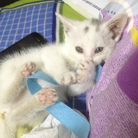 �����ȳ�--����������Ů��
��Һ�ѽ����