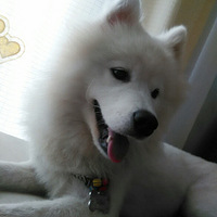 ������������ki��  ��Ÿ�����ÿ�ο�������