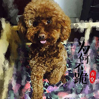 ��ϡ���һ��6�꣬���ǻ�����飬��ͬ�ɳ�