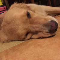 �������ȳ衿˫���մ����ȥ�ȼ�~