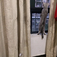 �������ȳ衿��è��������������֥�������~