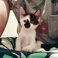 �������ȳ衿�����ġ����ӡ���
�����ӡ���