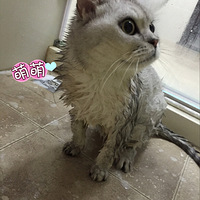 �������ȳ衿�Ҽҡ����������޽ڲٱ���۹�