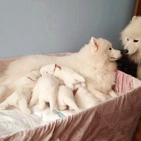                             ���������Ħһ�ң�����������