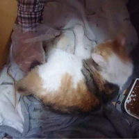 ��ͬѧ����
��һ��ƽƽ������һ�죬������