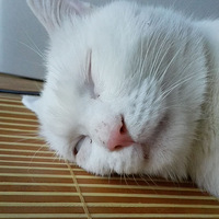 ����ɵ��~��