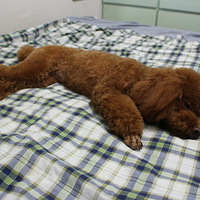 ���Ұ����á�һ����С���١�