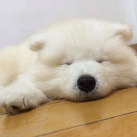 �������ȳ衿��ʹ�µġ��Ҹ�����ү