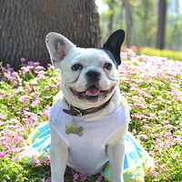 �������ȳ衿���³���� & ����³���� ������Ҫ��Զ���� 