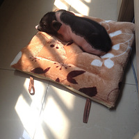 С����~��������~