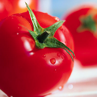 ��ʲôˮ�����ܼ��ʣ�ˮ�����������ܣ�