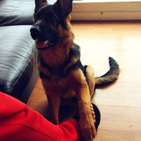 ���˸���һ���ܲ��ʵ����ֽ�����