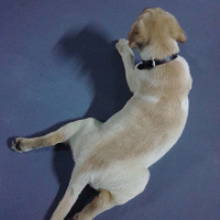 2015.08.08 Tony���������տ���������ʱ��