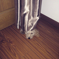 �������ȳ衿�����С����--����
��һ��