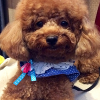 �ҵĶ�Ѿͷ��������ѽ����---������˰�æ���ң�һ����л��