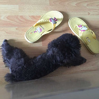  8��10������5������������¥�����߶��Ļ�ɫ���С����