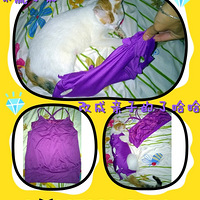 ��8.5�ռǡ���С������ʮ��ȫ����