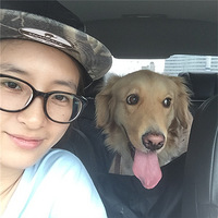 ���Ź���ͩ®һ���Σ�