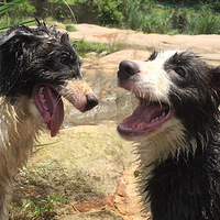 UlliѰ�׼ǡ���ʧɢ������������ط�