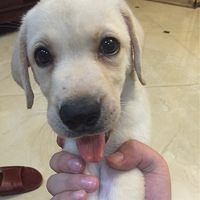 leckie �ص��ҿ�2�������ˣ�ǰ��ȥ